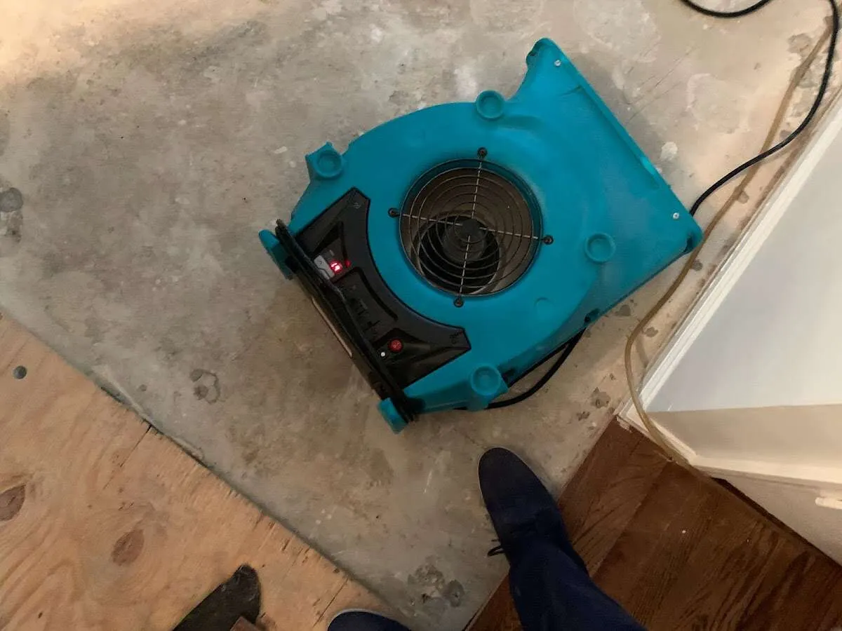 Air mover drying subfloor during Leak Detection & Repair in Berea